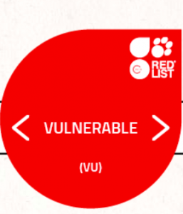 Red list vulnerable logo